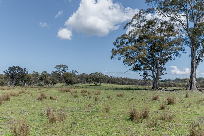Click to view all images 6506 Taralga Road Taralga NSW 2580 - Image 2