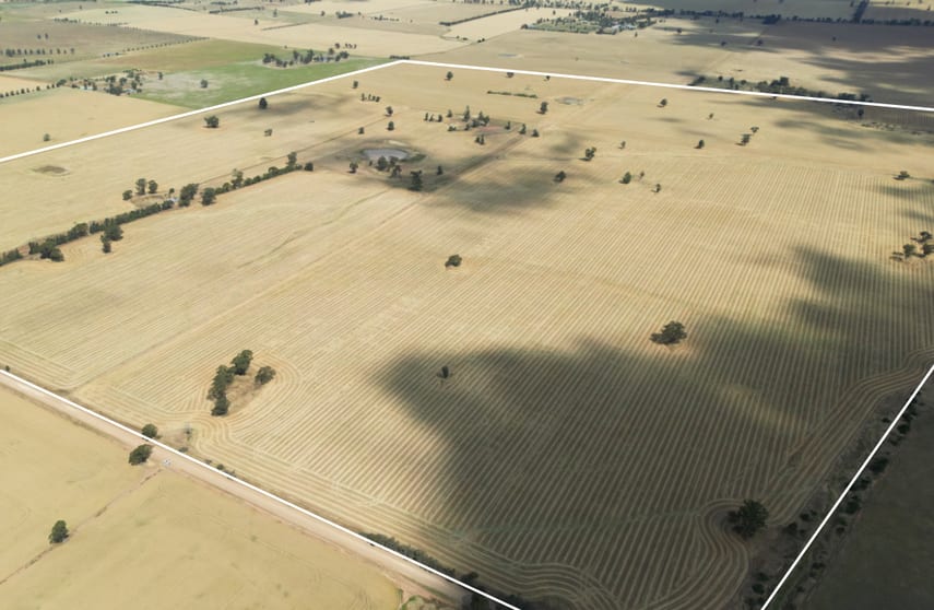 204 Dan Gleesons Lane Osborne NSW 2656 - Image 1