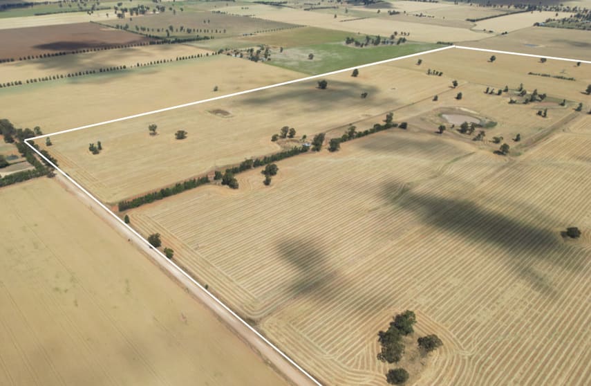 204 Dan Gleesons Lane Osborne NSW 2656 - Image 2
