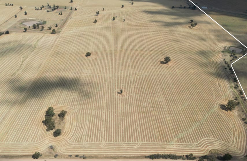 204 Dan Gleesons Lane Osborne NSW 2656 - Image 3