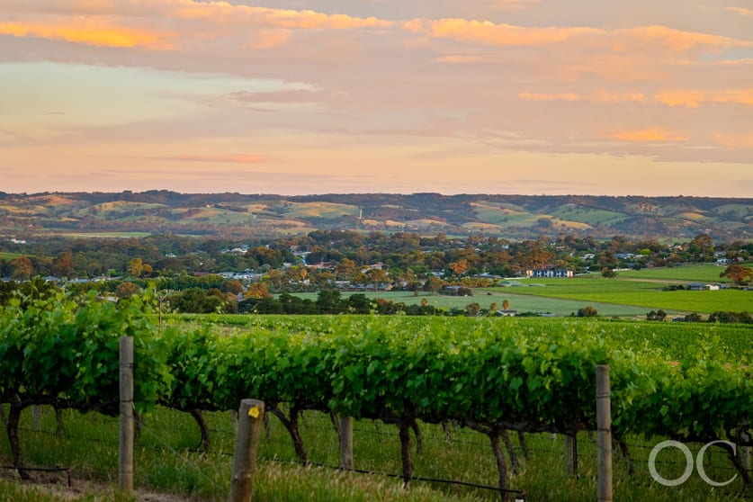Click to view all images 25 Carissa Road Mclaren Vale SA 5171 - Image 3