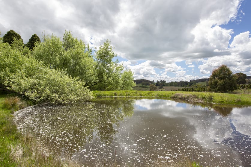 2000 Abercrombie Road Black Springs NSW 2787 - Image 3