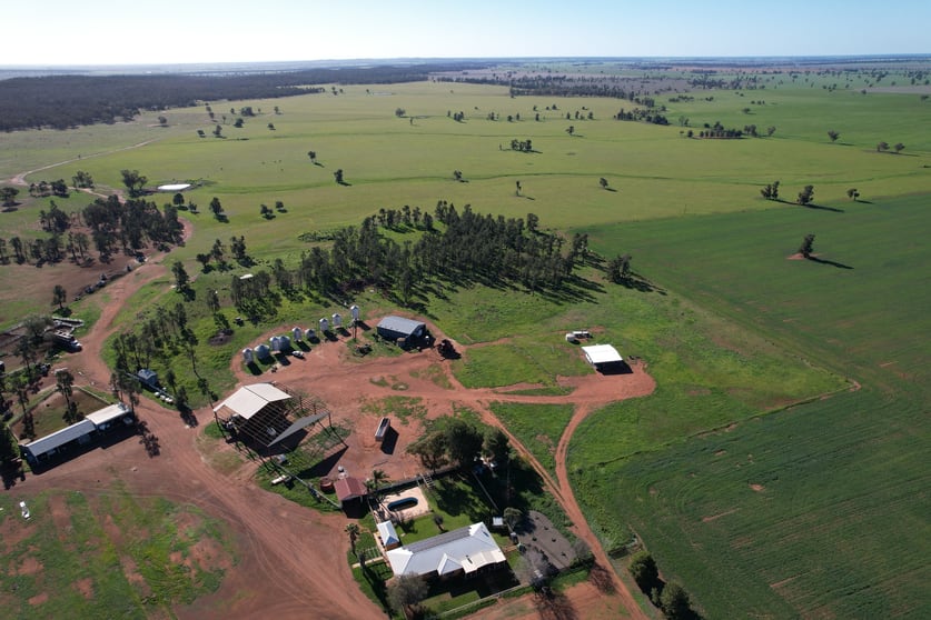 Click to view all images 3896 Albert Road Condobolin NSW 2877 - Image 1