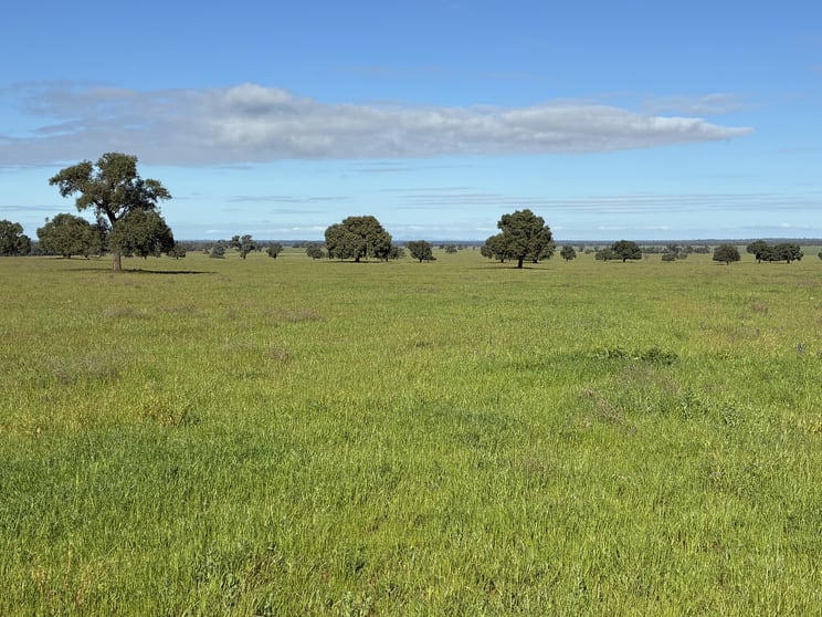 Click to view all images 2388 Booberoi Road Condobolin NSW 2877 - Image 2