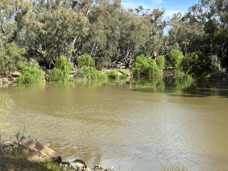 Click to view all images 2388 Booberoi Road Condobolin NSW 2877 - Image 3