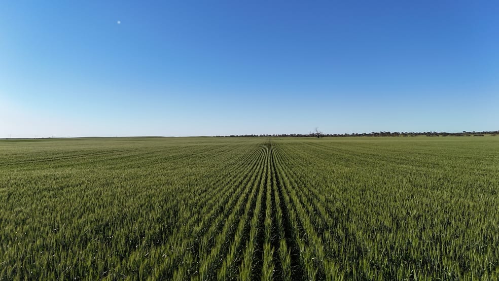 Click to view all images 'Blyth Block' Sectio Wandel Road Blyth SA 5462 - Image 1