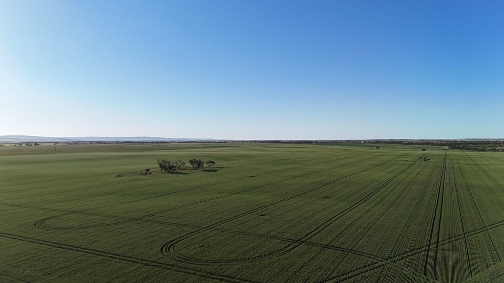 Click to view all images 'Blyth Block' Sectio Wandel Road Blyth SA 5462 - Image 3