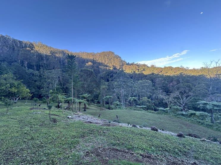 Click to view all images 600 Huonbrook Road Huonbrook NSW 2482 - Image 2