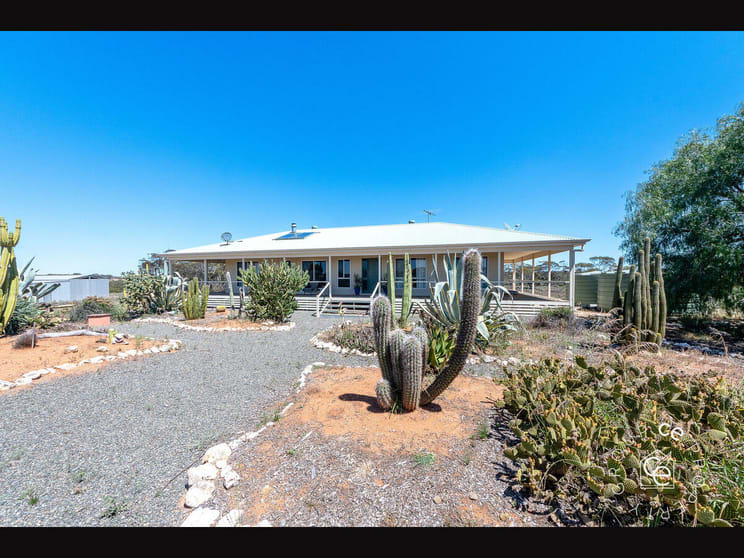 1813 Black Hill Road Black Hill SA 5353 - Image 3
