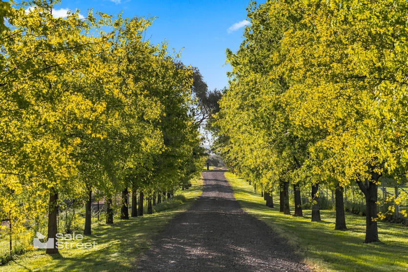 37 Carcoar Street Orange NSW 2800 - Image 3