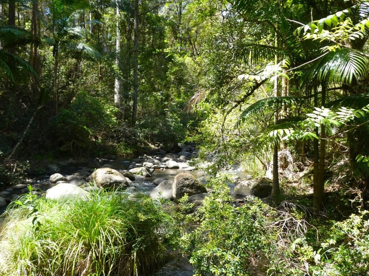Lot 7/422 Main Creek Road Kyogle NSW 2474 - Image 2