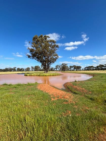 Click to view all images - Cnr Heathcote - Rochester Rd & Davey Rd Cornella VIC 3551 - Image 3