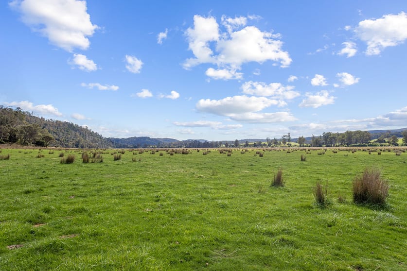 482 Patersonia Road Patersonia TAS 7259 - Image 3