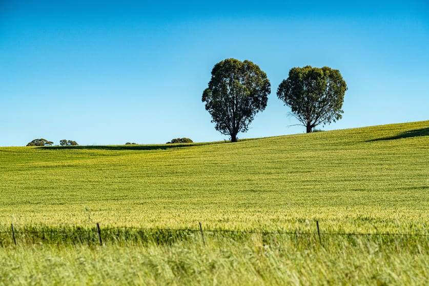 Click to view all images Lot 3 Old Howlong Road Cornishtown VIC 3683 - Image 2