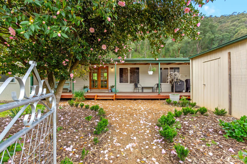 Click to view all images 1935 Thowgla Road Thowgla Valley VIC 3707 - Image 2