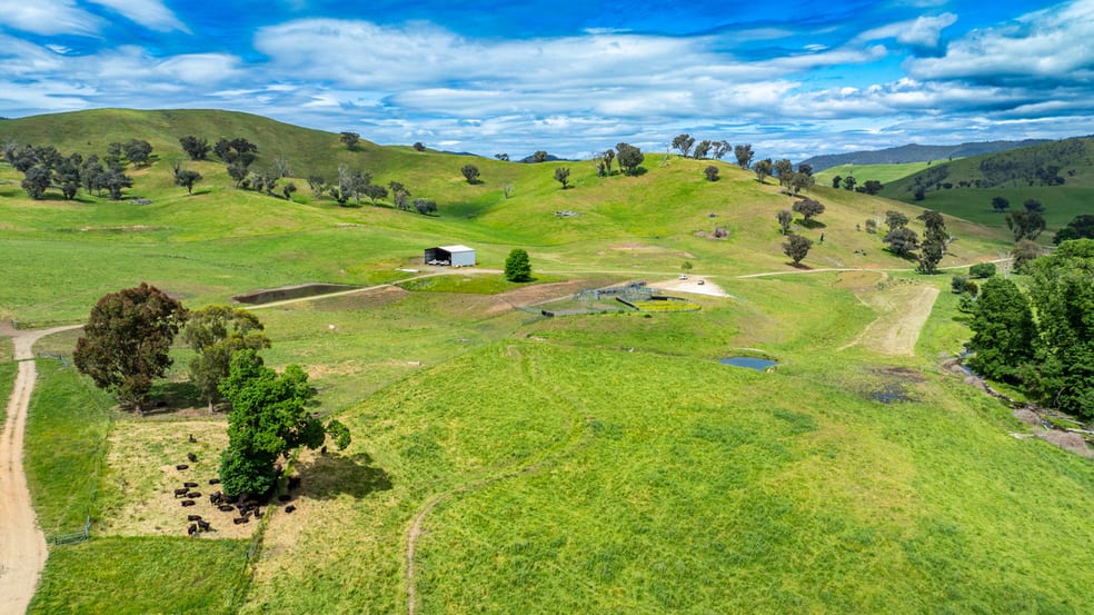 Click to view all images 400 Horse Creek Road Jingellic NSW 2642 - Image 2