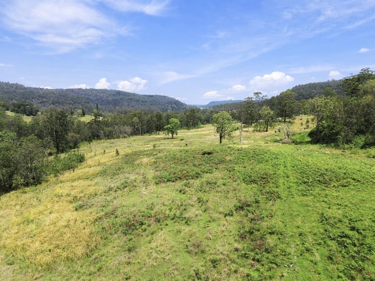 Click to view all images 783 Peacock Creek Road Peacock Creek NSW 2469 - Image 3