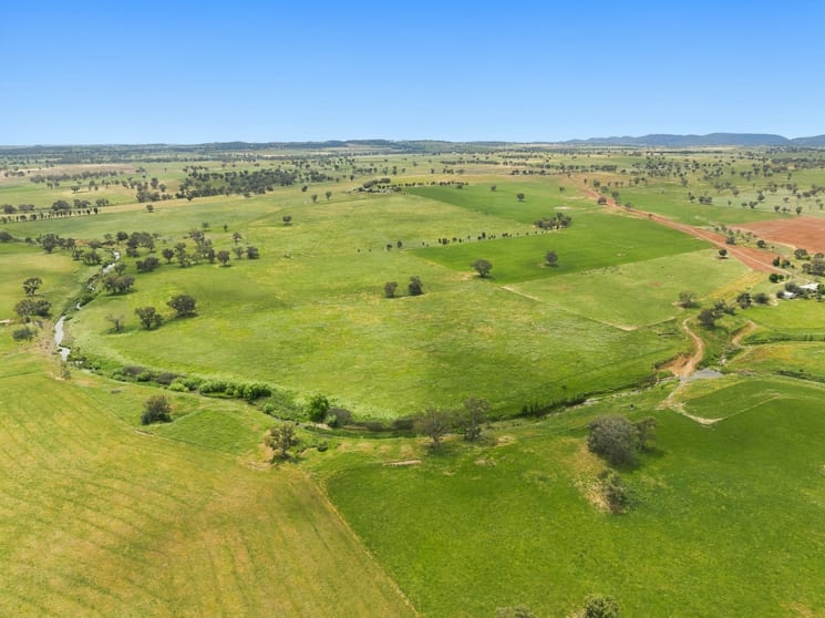 Click to view all images 'Thuruna' 602 Blatches Lane Bournewood NSW 2868 - Image 1