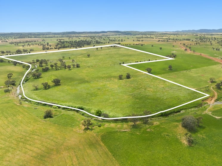 Click to view all images 'Thuruna' 602 Blatches Lane Bournewood NSW 2868 - Image 3