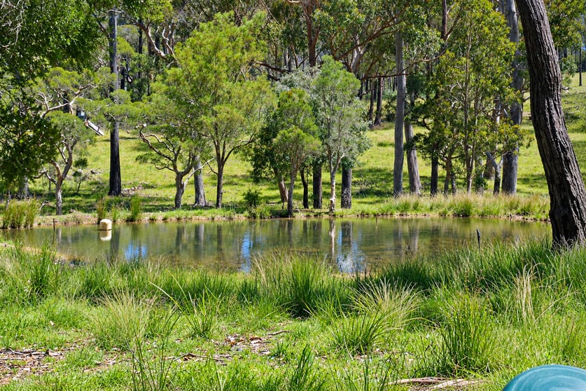 Click to view all images 976-996 Bulldog Road ( VIA TABULAM ) Bulldog NSW 2469 - Image 1