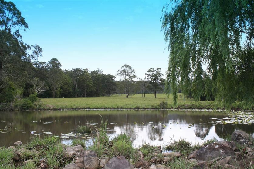 Click to view all images Byabarra NSW 2446 - Image 2