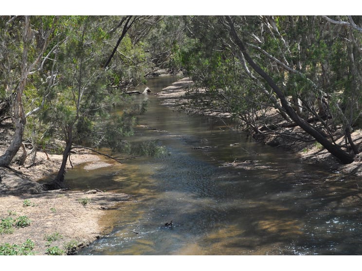 Click to view all images 22/836 Wolfram Road Dimbulah QLD 4872 - Image 1