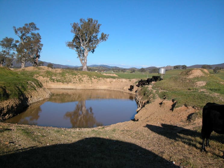 Click to view all images 3750 Snow Road Whorouly East VIC 3735 - Image 3