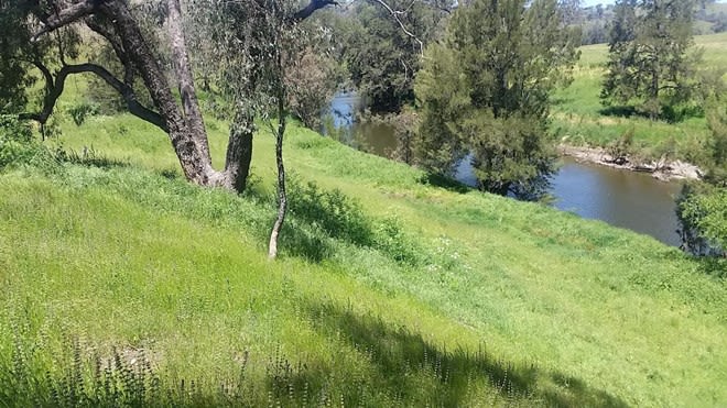 Click to view all images 621 NAROOGAL ROAD Bakers Swamp NSW 2820 - Image 3