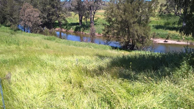 Click to view all images 621 NAROOGAL ROAD Bakers Swamp NSW 2820 - Image 2