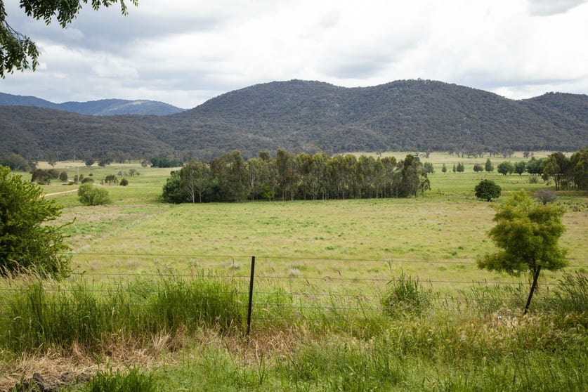 110 Tunnel Gap Road Myrtleford VIC 3737 - Image 3
