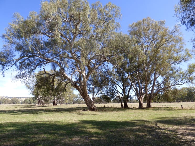 35 Gambolds Lane Whorouly VIC 3735 - Image 3
