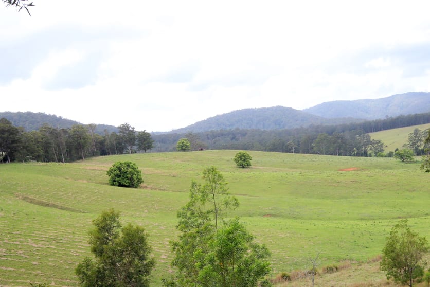 Click to view all images Eastern Boundary Road Bellangry NSW 2446 - Image 2