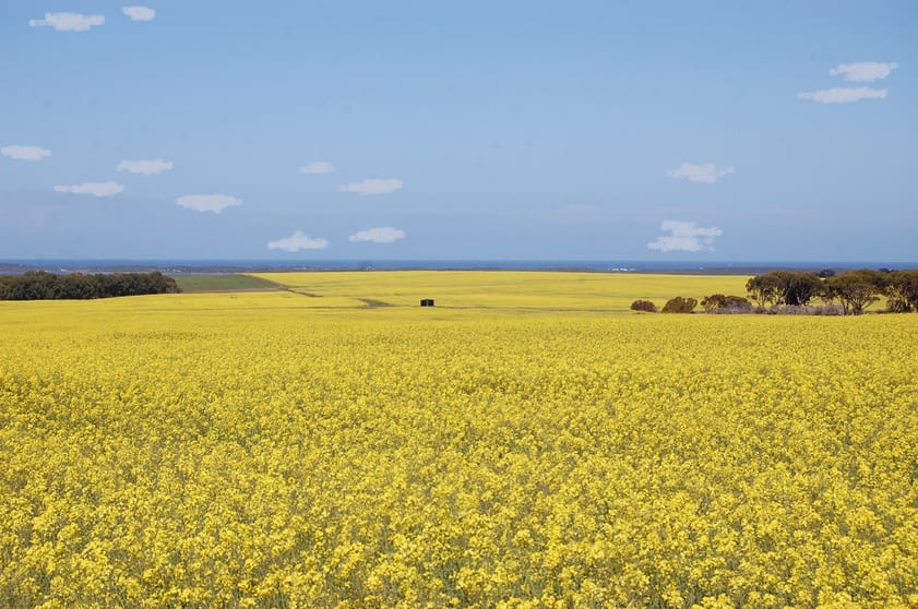 Click to view all images 1715 Coxalll Road Munglinup WA 6450 - Image 1