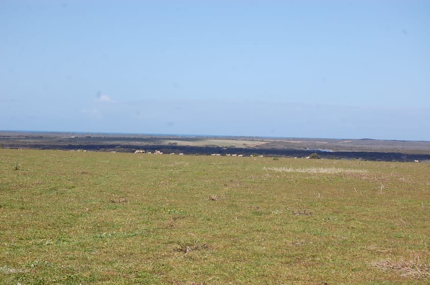 Click to view all images 1715 Coxalll Road Munglinup WA 6450 - Image 3