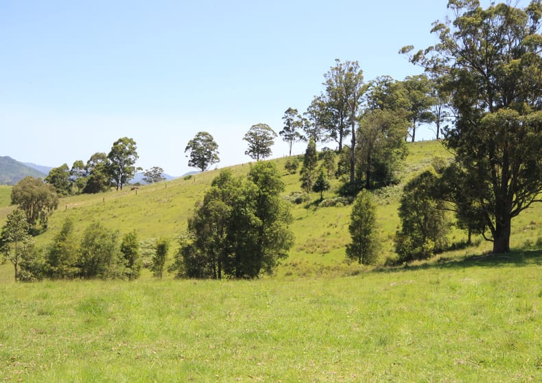 Click to view all images 353 Wallis Road Ellenborough NSW 2446 - Image 2