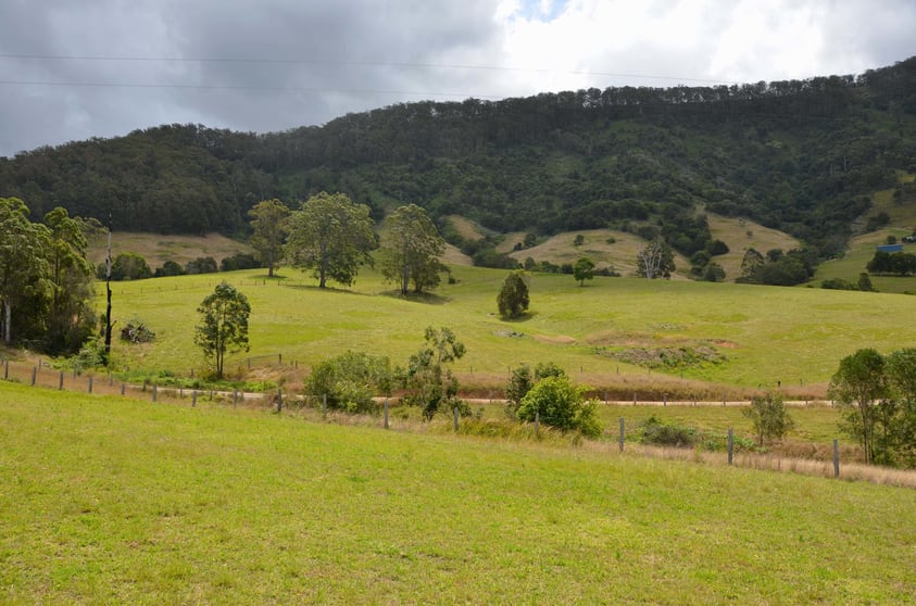 Lot 1 Pipeclay Road Pipeclay NSW 2446 - Image 3