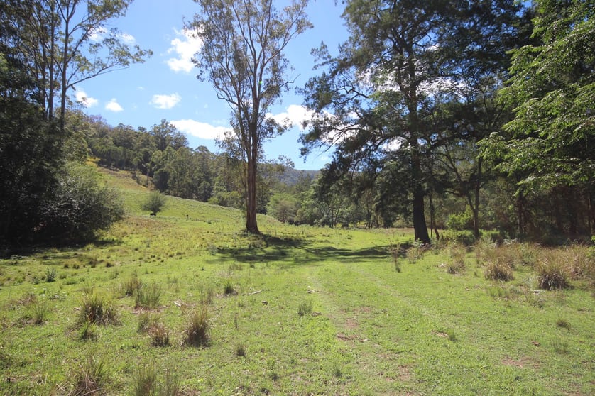 Click to view all images Lot 133 Forbes River Road Birdwood NSW 2446 - Image 2