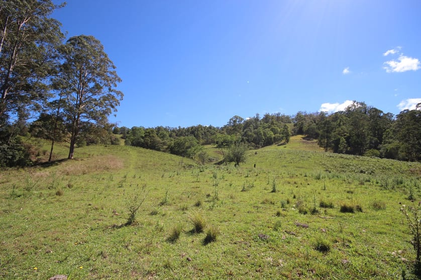 Click to view all images Lot 133 Forbes River Road Birdwood NSW 2446 - Image 3
