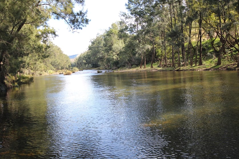 Click to view all images Lot 1 Oxley Highway Yarras NSW 2446 - Image 1