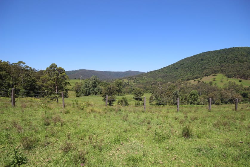 Click to view all images 353 Wallis Road Ellenborough NSW 2446 - Image 3