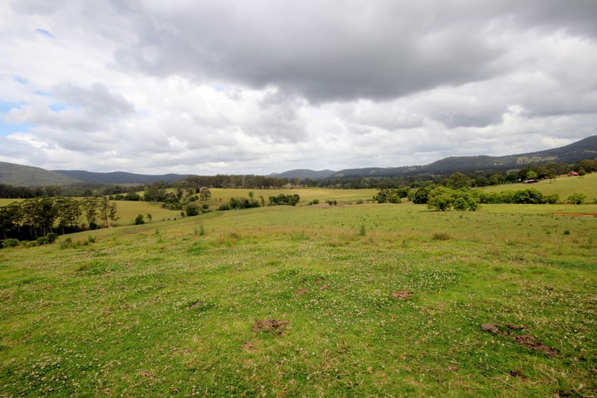 Click to view all images Eastern Boundary Road Bellangry NSW 2446 - Image 1