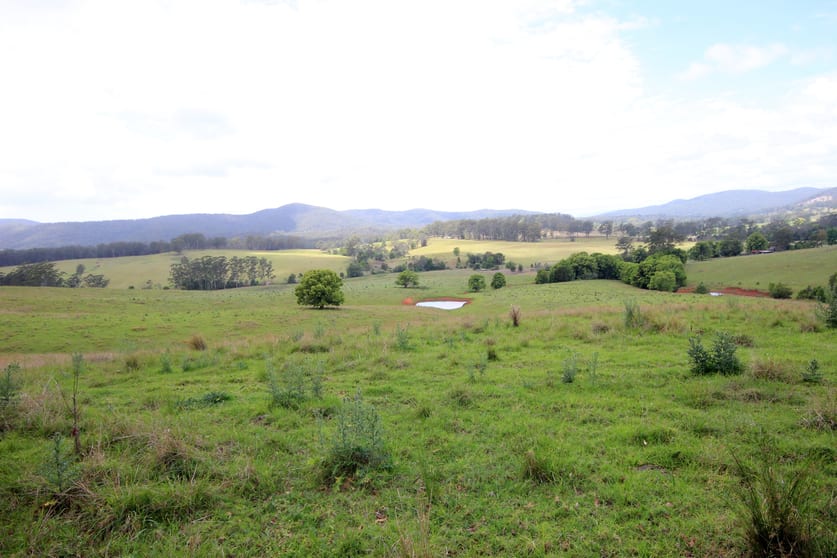 Click to view all images Eastern Boundary Road Bellangry NSW 2446 - Image 3