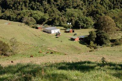Click to view all images Kindee NSW 2446 - Image 3