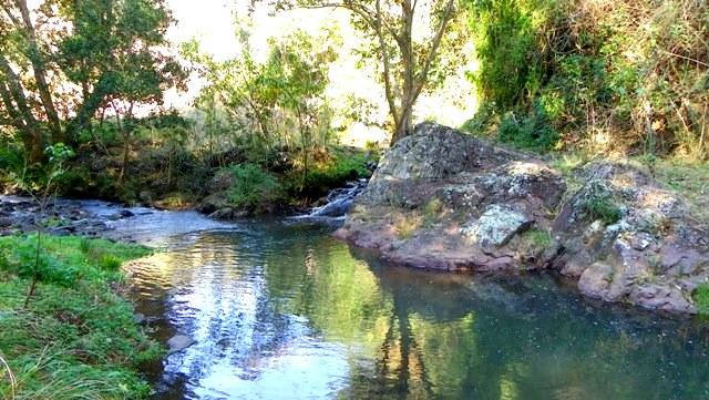 Toms Creek Road Ellenborough NSW 2446 - Image 1