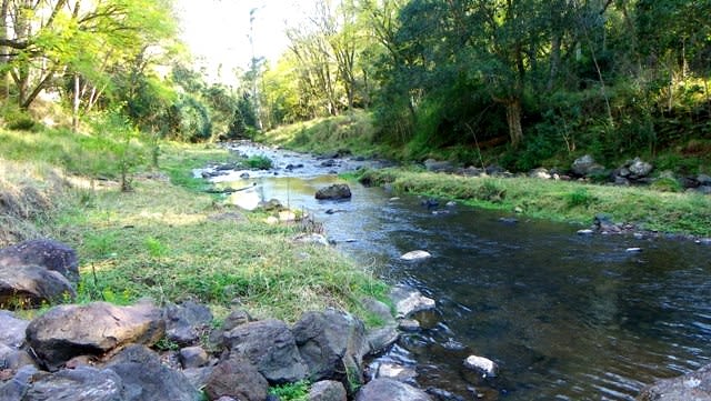 Click to view all images Lot 89 Toms Creek Road Toms Creek NSW 2446 - Image 2