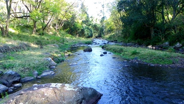 Click to view all images Lot 89 Toms Creek Road Toms Creek NSW 2446 - Image 3