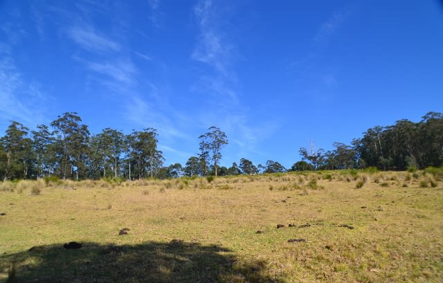 Lot 145 Costigans Road Yarras NSW 2446 - Image 2