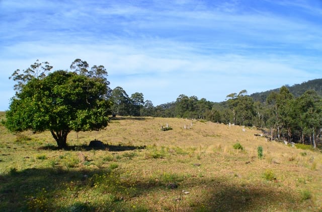 Lot 145 Costigans Road Yarras NSW 2446 - Image 3