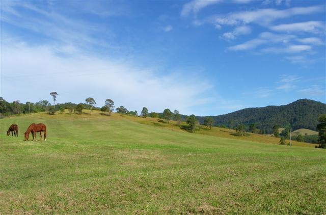Click to view all images Pappinbarra Road Hollisdale NSW 2446 - Image 1