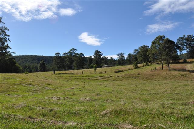 Tree Road Byabarra NSW 2446 - Image 3